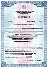 Лицензия
